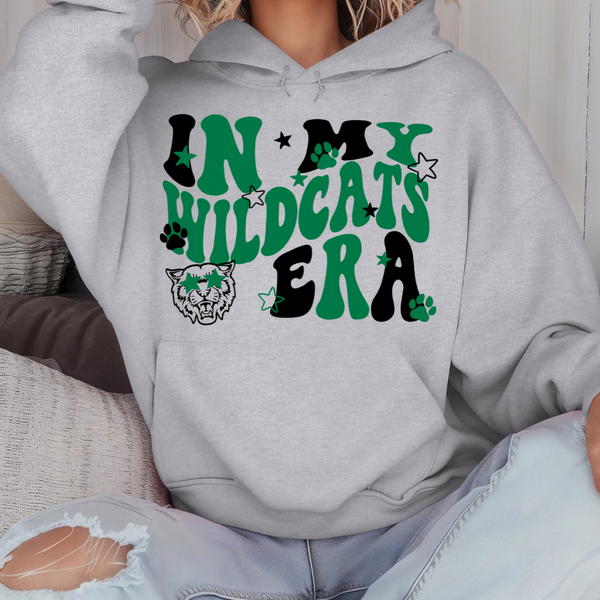 In My Wildcats Era Transfer