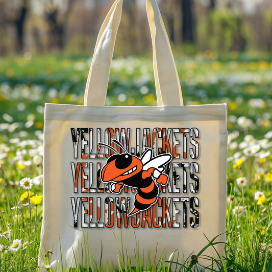 YELLOWJACKETS x3 Transfer